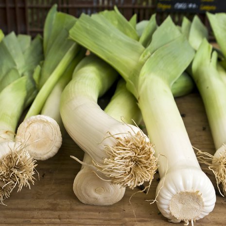 Purjo narskuu hampaissa usein. Kuva: <span class="photographer">Istockphoto.</span>