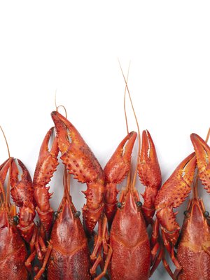 Rapujuhlakaudella on lupa nähdä punaista. Kuva: <span class="photographer">Colourbox.</span>