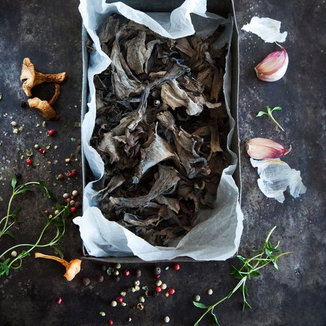 Syksyn sienisadosta riittää iloa pitkälle talveen. Kuva: Arto Vuohelainen.