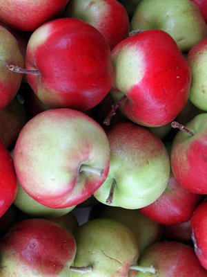 Omenaa tulee! Kuva: <span class="photographer">Sanoam-arkisto/ Ari-Veikko Peltonen</span>