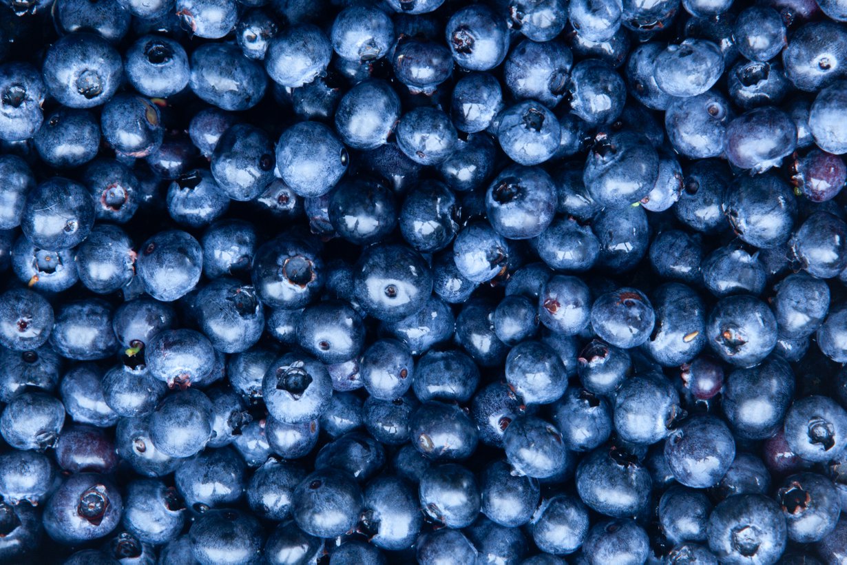 Peittyykö pohja jo? Mustikkametsällä maltti on valttia. Kuva: iStock