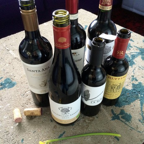 Lammasviinit maistoi Soppa365-toimitus.