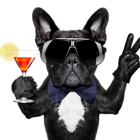 Kun homma on hanskassa hyvissä ajoin, voit keskittyä juhlimiseen. Kuva: iStock