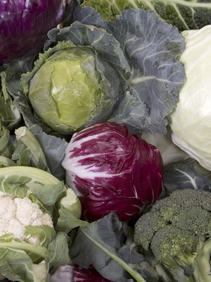 Kaaliperheessä on monta jäsentä. Kuva: <span class="photographer">Istockphoto</span>