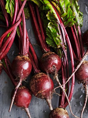 Nuoret punajuuret ovat huikean meheviä ja kypsyvät talven yli varastoituja nopeammin. Kuva: <span class="photographer">Panu Pälviä</span>