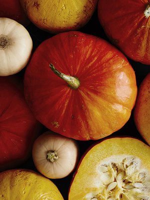 Kuva: <span class="photographer">Tuomas Kolehmainen</span>