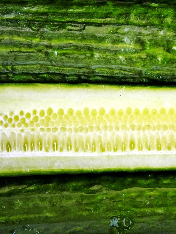 Kurkku on nyt kuuma. Kuva: <span class="photographer">Panu Pälviä</span>