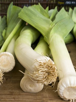 Purjo narskuu hampaissa usein. Kuva: <span class="photographer">Istockphoto.</span>