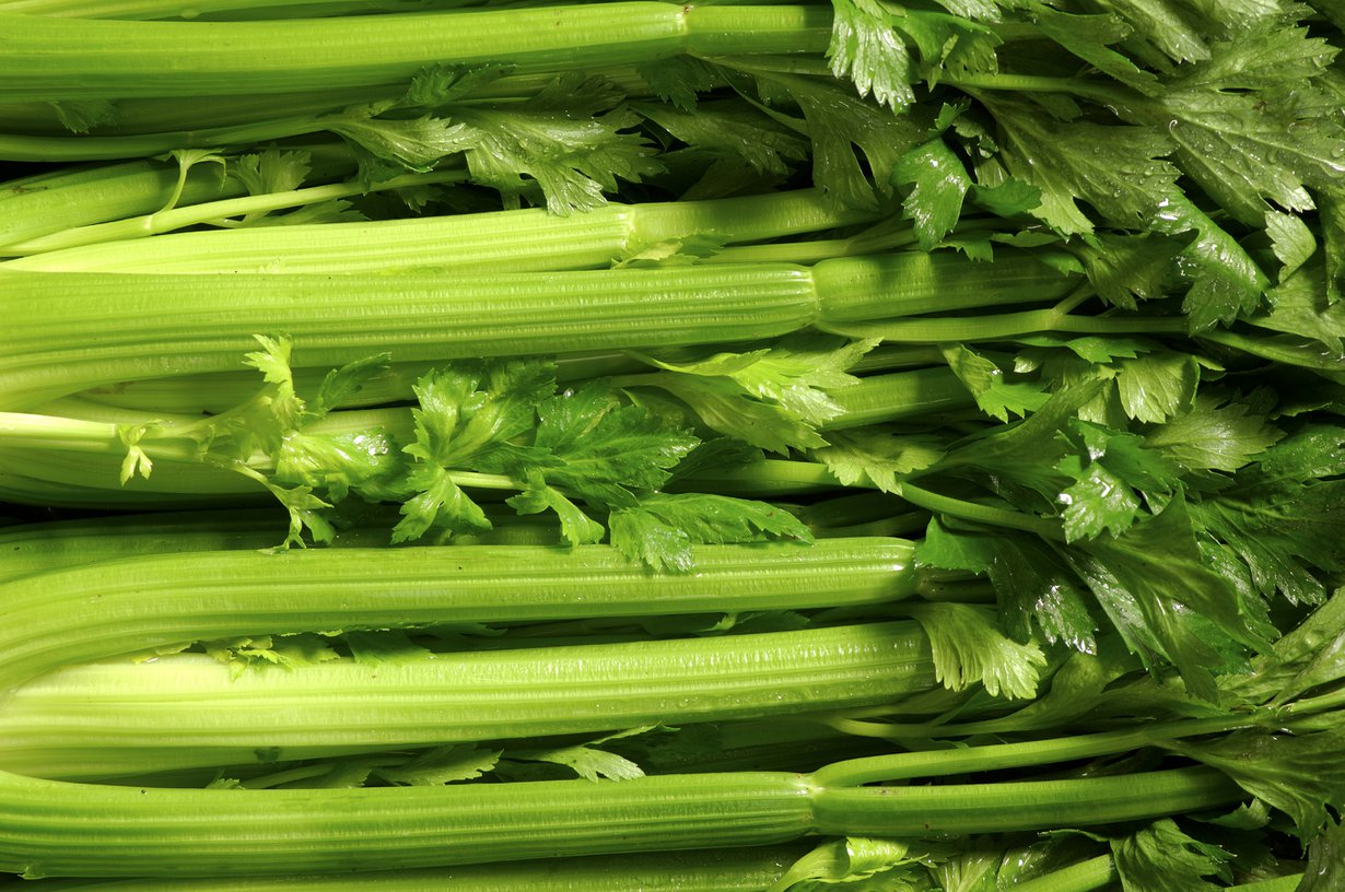 Yäk, en syö. Kuva: IStockphoto.