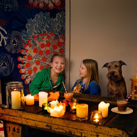 Tänä vuonna Earth Hour vietetään hyvässä seurassa ruuasta nauttien. Kuva: <span class="photographer">Aki-Pekka Sinikoski / WWF Suomi.</span>