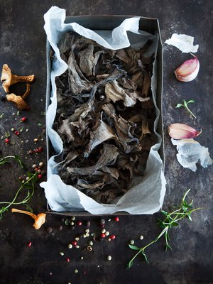 Syksyn sienisadosta riittää iloa pitkälle talveen. Kuva: <span class="photographer">Arto Vuohelainen.</span>