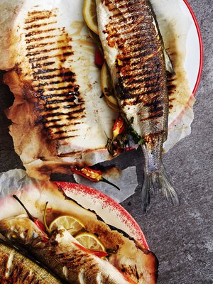 Siika saa koko matkalta kauniit raidat. Ahvenen raidat ovat vähän vaatimattomammat. Kuva: <span class="photographer">Panu Pälviä</span>