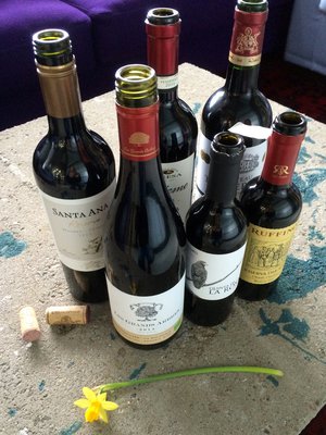 Lammasviinit maistoi Soppa365-toimitus.