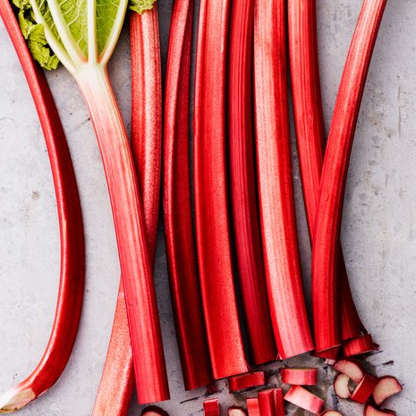 Rapaprperinvarret ovat merkki keväästä ja lupaus kesästä. Kuva: Sami Repo