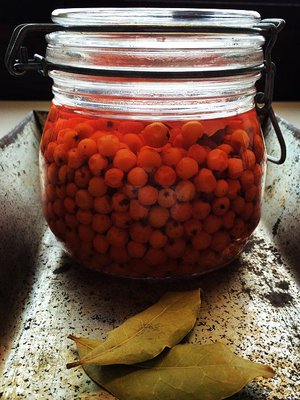 Soppa365:n etikkapihlajanmarjat ovat syksyn 2014 hittisäilyke. Kuva: <span class="photographer">Teemu Leminen.</span>