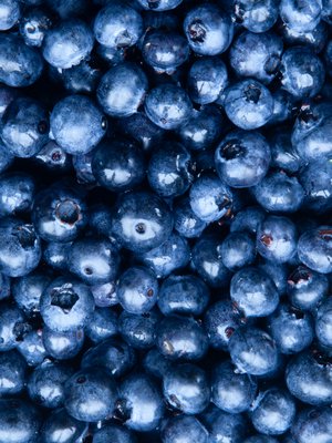 Peittyykö pohja jo? Mustikkametsällä maltti on valttia. Kuva: <span class="photographer">iStock</span>