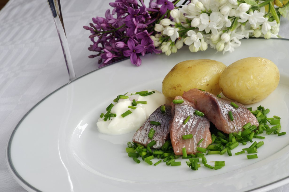 Uudet perunat, silli ja sipuli. Suomen suven maittavin makukimara. Kuva: Istockphoto.
