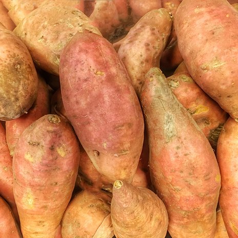 Bataatti sopii niin keittoon kuin leiväksi. Kuva: iStock