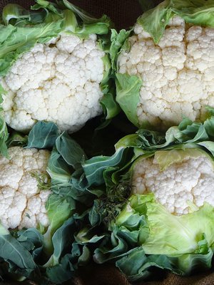 Paahda, raasta, höyrytä tai soseuta. Kukkakaali sopii moneen. Kuva: <span class="photographer">iStock</span>