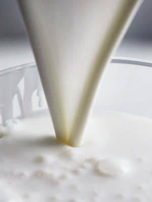 Taviksien tavis eli piimä on yhtäkkiä kuuma trendiraaka-aine. Kuva: <span class="photographer">Panu Pälviä </span>