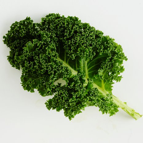 Kuva: Sanoma-arkisto / Tuomas Kolehmainen