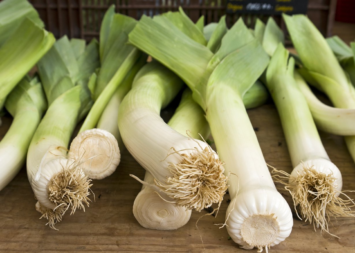 Purjo narskuu hampaissa usein. Kuva: Istockphoto.