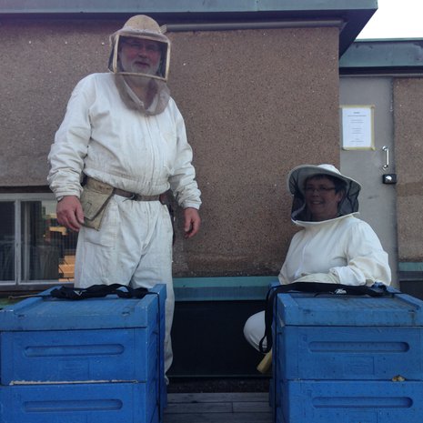 Bjarne ja Mia Bruce pitävät mehiläisistä hyvää huolta. Kuva: Anu Brask.