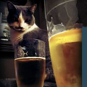 Varoitus: Olutpuuhastelu voi kiinnostaa myös lemmikkieläimiä. Kuva: <span class="photographer">Istockphoto.</span>