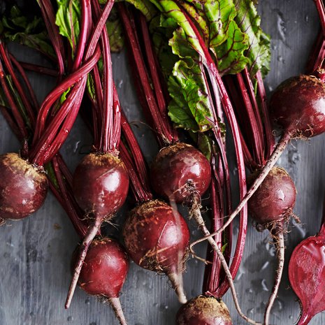 Nuoret punajuuret ovat huikean meheviä ja kypsyvät talven yli varastoituja nopeammin. Kuva: Panu Pälviä