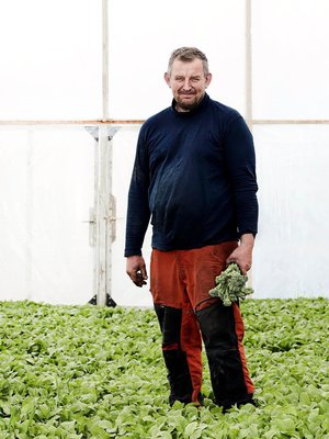 Viljelijä Pauli Lindström kasvattaa vantaalaisella tilallaan muun muassa erikoiskaaleja.