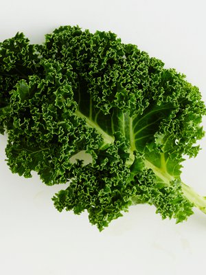 Kuva: <span class="photographer">Sanoma-arkisto / Tuomas Kolehmainen</span>