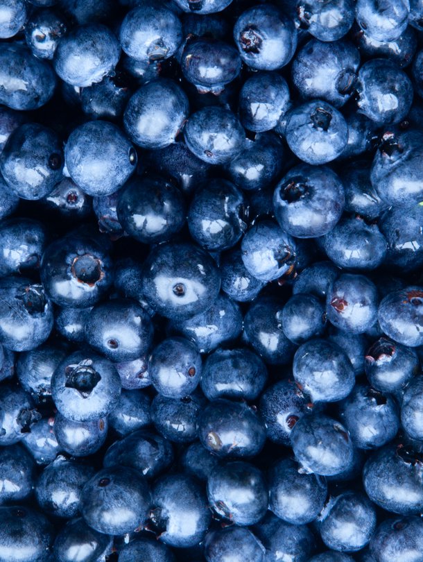 Peittyykö pohja jo? Mustikkametsällä maltti on valttia. Kuva: <span class="photographer">iStock</span>